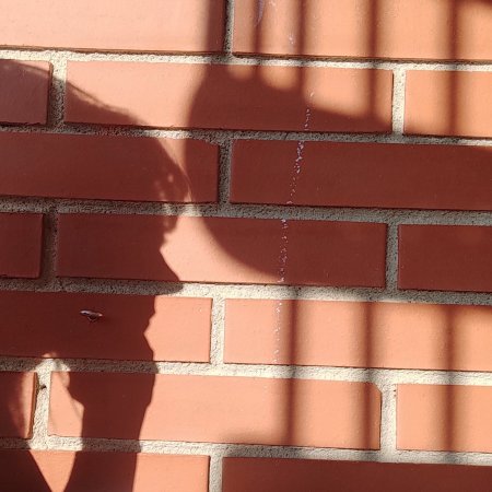 L'ombra del meu perfil sobre mur de totxo vermell. Es veu l'ombra de l'escala de caragol.